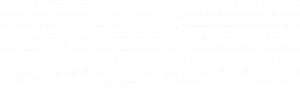 logo weiß