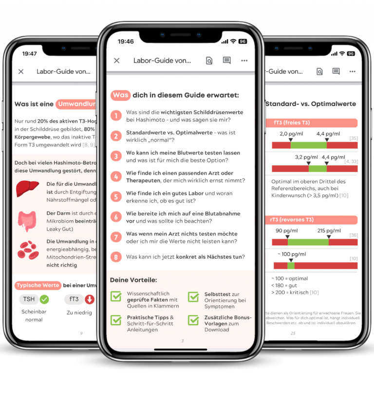 labor guide vorschau