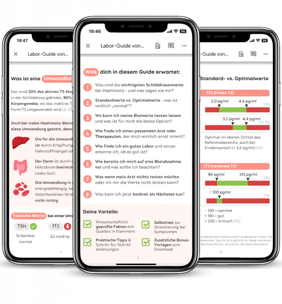 labor guide vorschau