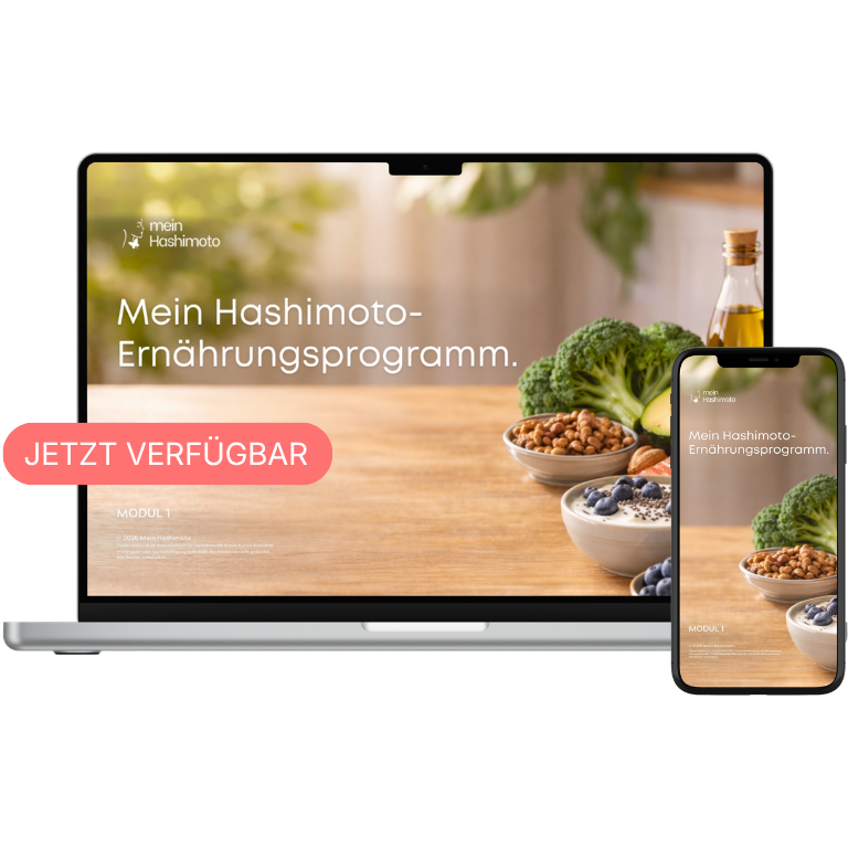 Programm
